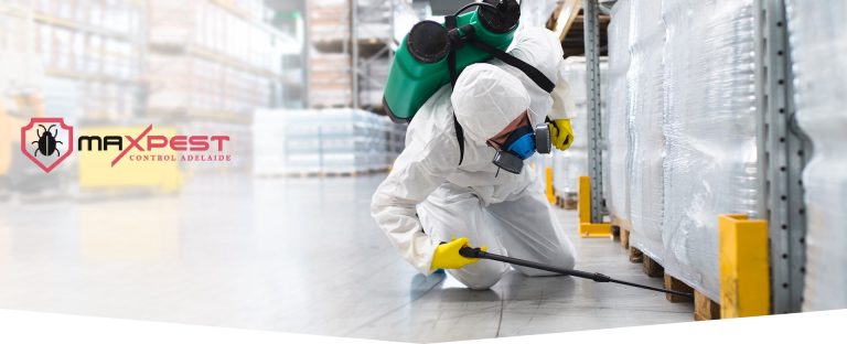 max Termite control adelaide 4 768x312