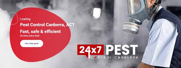 247 Silverfish control canberra 6 768x288