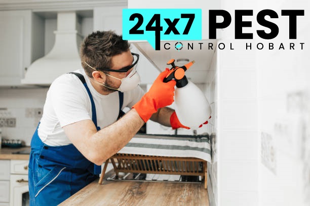 247 Termitecontrol hobart 5