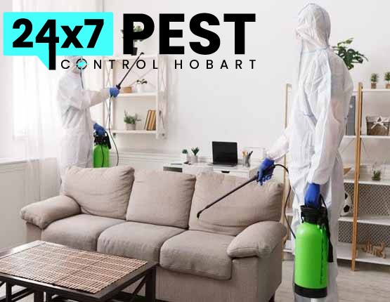 247 Termitecontrol hobart 7