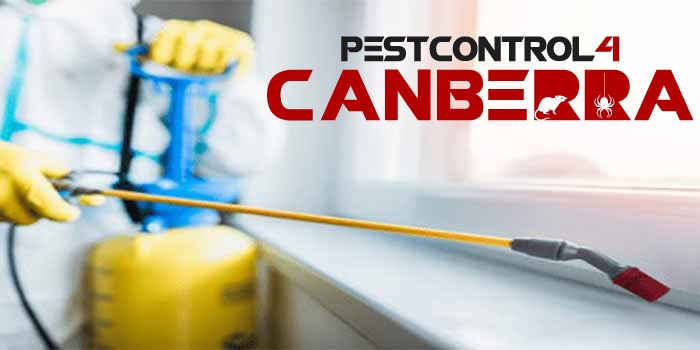 Ants Control 4 Canberra 2