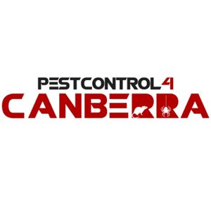 Beetle Control 4 Canberra 1