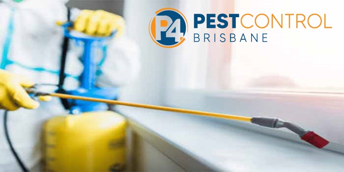 Bird Control 4 Brisbane 5