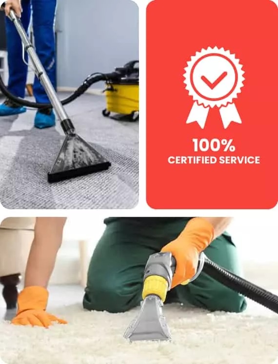 MAX Carpet Cleaning Sydney 8