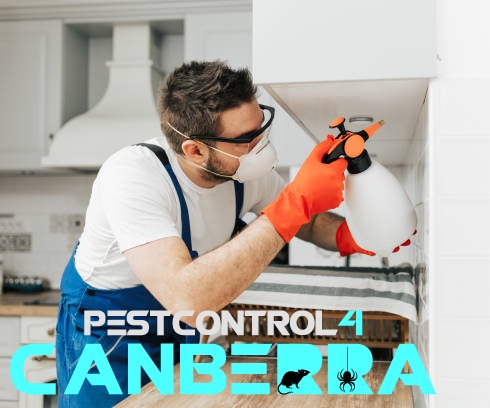 Mite Pest Control 4 Canberra 3