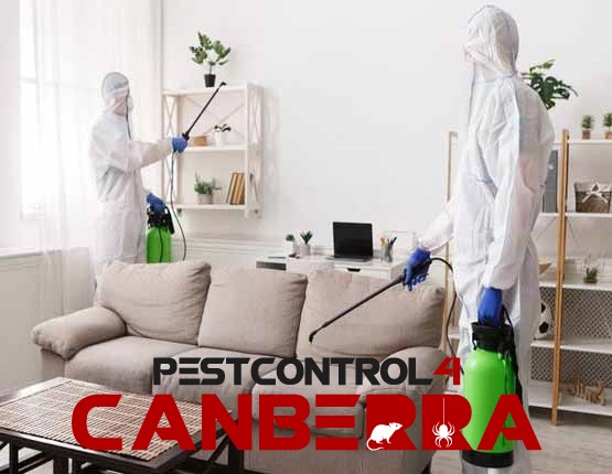 Mite Pest Control 4 Canberra 4