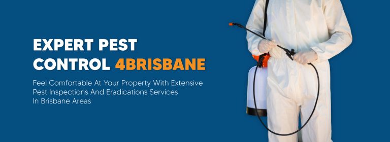 Possum Control 4 Brisbane 7 768x280