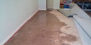 flood damage cleaning logo 1
