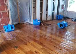 flood damage cleaning logo