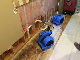 flood damage cleaning