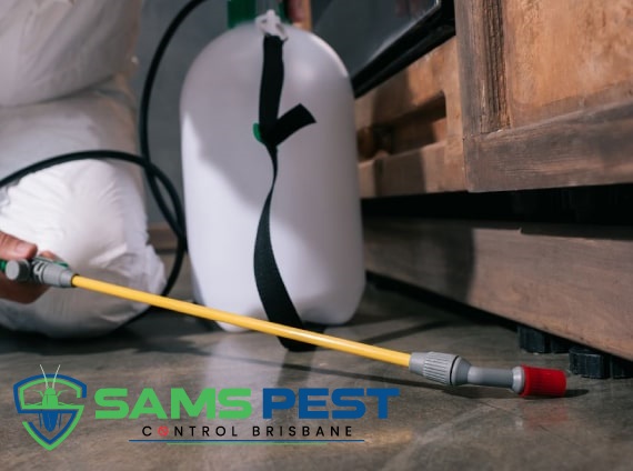 sams Pest Control Brisbane 3