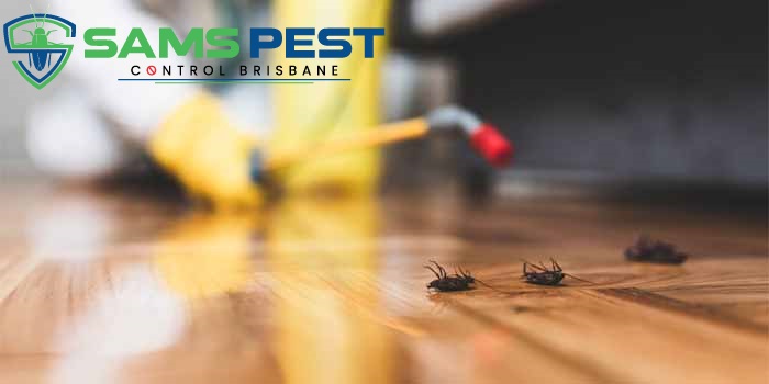 sams Pest Control Brisbane 4