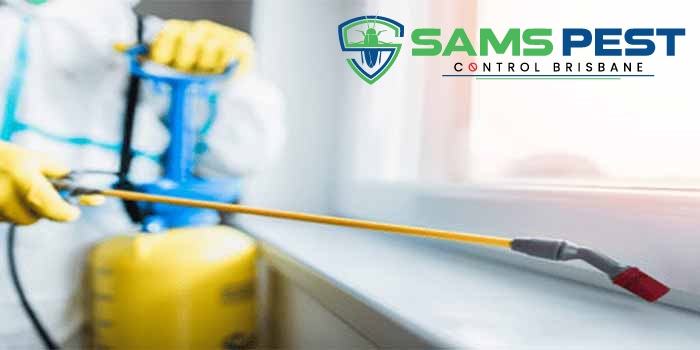 sams Pest Control Brisbane 5