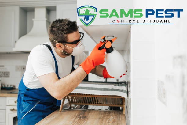 sams Pest Control Brisbane 6