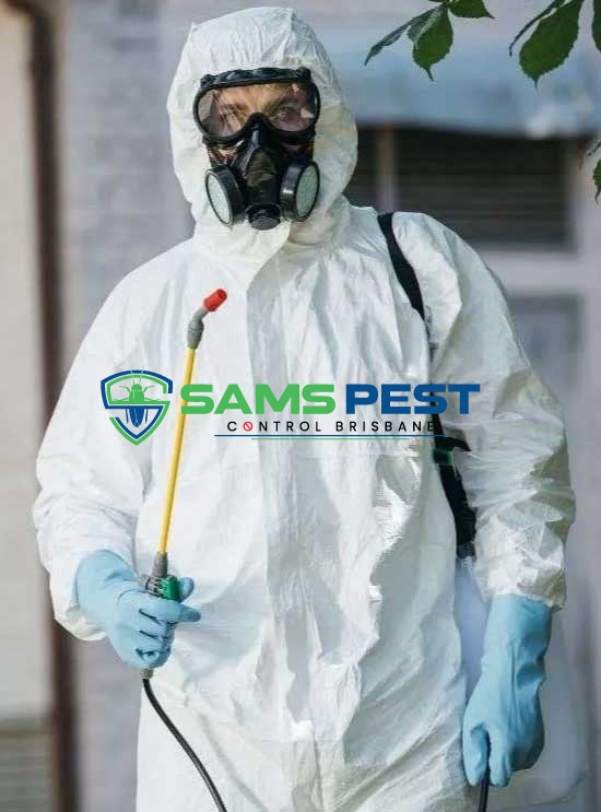sams Pest Control Brisbane 7