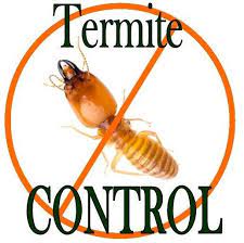 termite 5