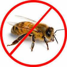 Bee Control