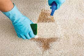 carpet stain