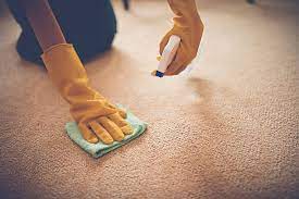 carpet stain1