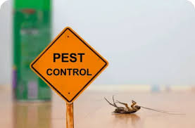 pest control 12
