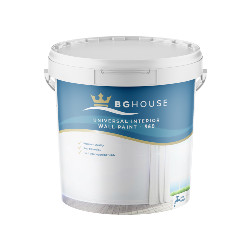 BG HOUSE wall paint 560