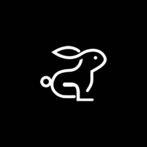 bunny models 1