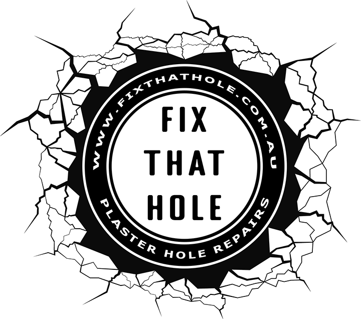 Newcastle wall hole repairs