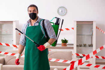 pest control in gold coast1