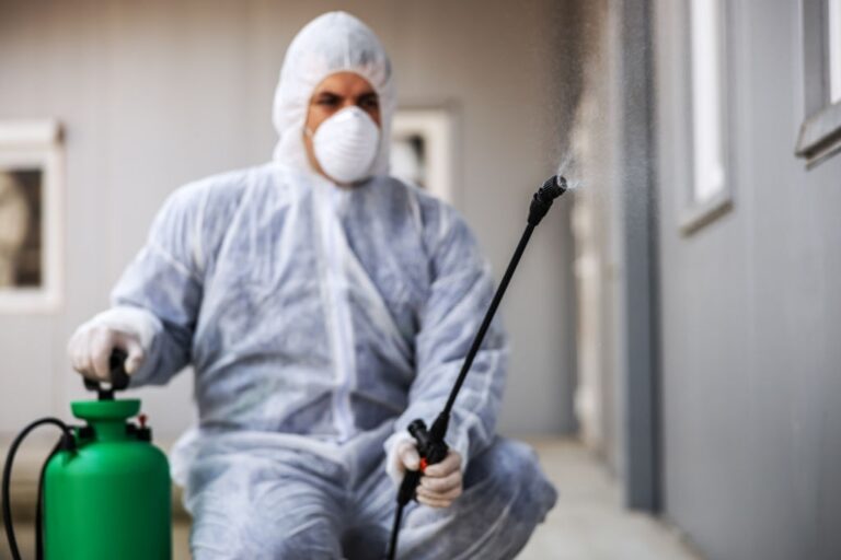 pest control 19 768x512