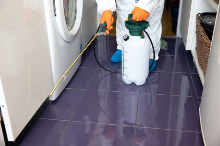 pest control 20 768x512