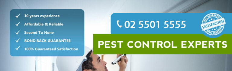 pro pest control canberra banner 768x237