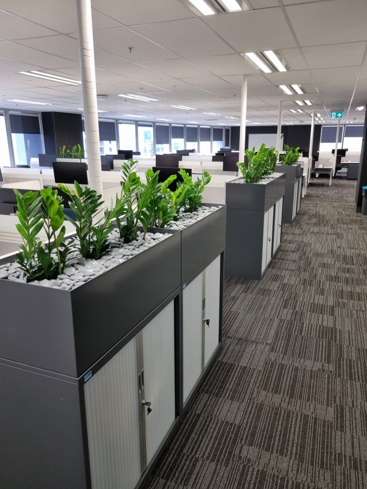 grolife plantscape office z