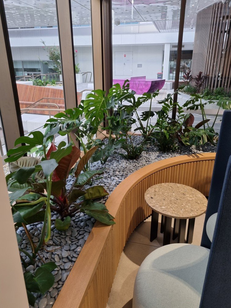 office plantscape s